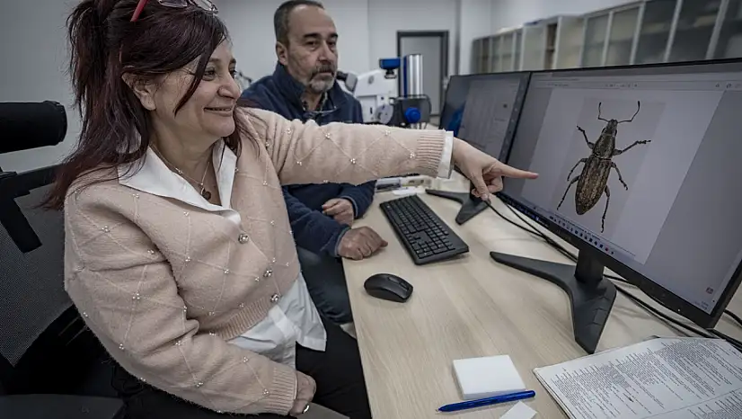 Anadolu'nun bilinmeyen böcekleri gün yüzüne çıkıyor