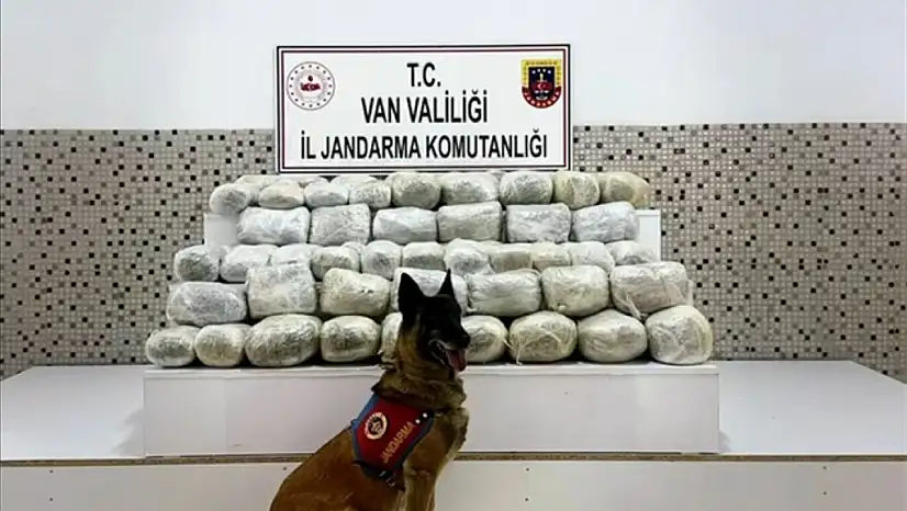 Başkale'de 97 kg skunk uyuşturucu ele geçirildi, 1 kişi yakalandı