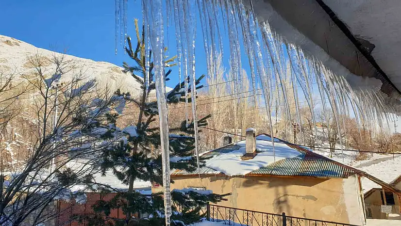Başkale'de dondurucu soğuklar ağaçları, araçları ve çatılara buz sarkıtları oluşturdu