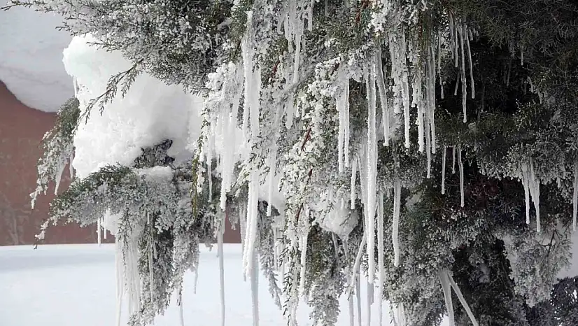 Bitlis'te karla mücadelenin maliyeti ağır oldu
