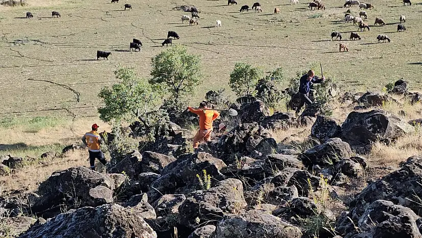 Bitlis'te otluk alan yangını: 500 dönüm arazi kül oldu