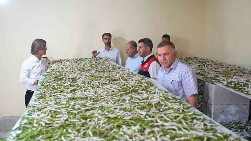 Böceklerle İlgilenmeyi Reddetti, Yüklü Gelir Elde Etti
