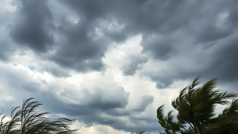 Bursa'da lodos ne zaman bitecek?