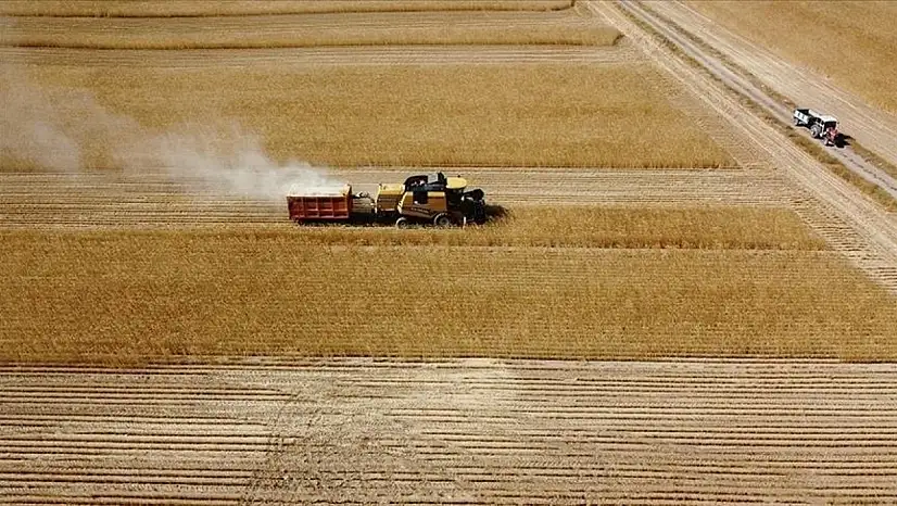 Çiftçilere büyük destek: 47,6 milyon lira bugün hesaplarda