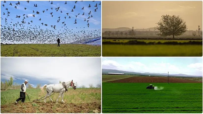 Deprem sonrası tarımda yeniden doğuş nasıl sağlandı?