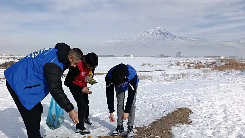 Doğubayazıt Gençlik Merkezi, kışın sokak hayvanlarını unutmadı