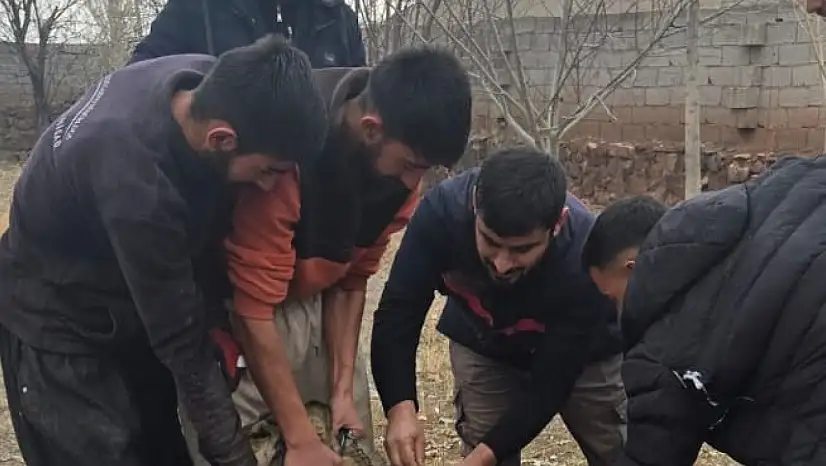 Doğubayazıt'ta köy ve mahallelerde veteriner ekipleri görevde