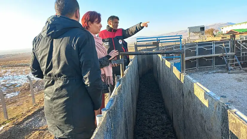 Düve Üretim Merkezi Yerinde İncelendi: İlk Etapta 1.985 Düve Merkeze Ulaştı