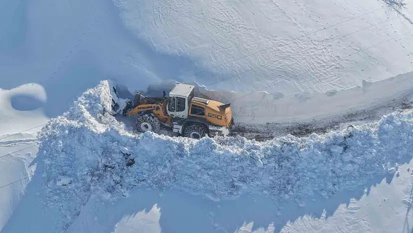 Ekipler sahada: Muş'ta kapalı köy yolları açılıyor