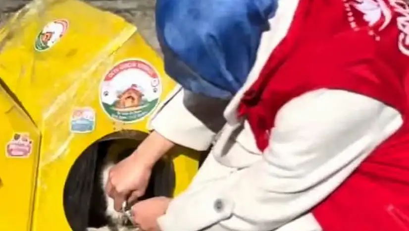 Erzurum Oltu'da Gönüllülerden Patili Dostlara Sıcak Dokunuş