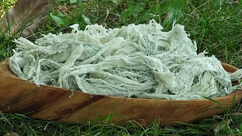 Erzurum'un Göğermiş Peyniri: Doğal Lezzet Dünyaya Açılıyor!