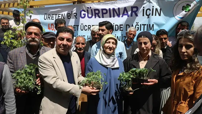 Gürpınar Belediyesi'nden Çiftçilere Destek: 45 Bin Sebze Fidesi Ücretsiz Dağıtıldı