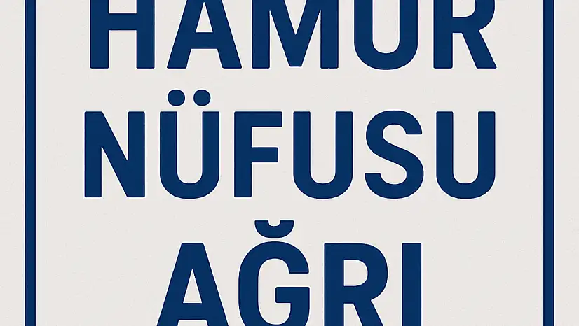 HAMUR NÜFUSU, AĞRI