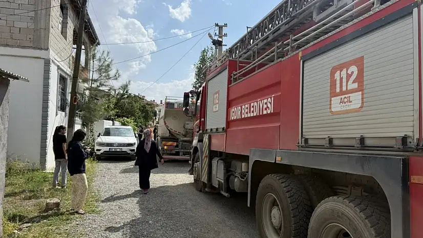 Iğdır'da Kamelya Yangını Korkuttu: Can Kaybı Yaşanmadı