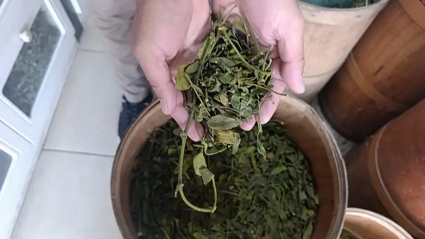 Kanser vakalarının yüksek olduğu Ağrı'da doğal ürünlere yönelim arttı