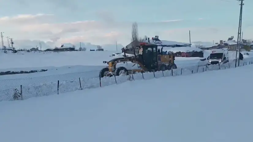 Kar kaplanları Kars'ta hayat kurtarmak için seferde