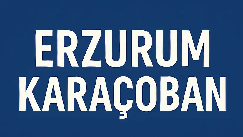 Karaçoban Nüfusu – Erzurum Güneydoğu Kapısında Mahalle Temelli Demografik Dağılım