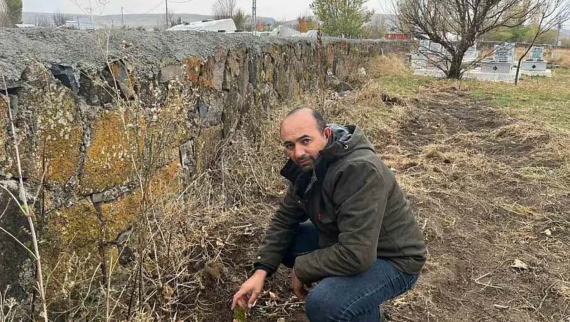 Kars'ta Muhtar Ekinci'den Ağaçlandırma Seferberliği ile Yeşil Miras