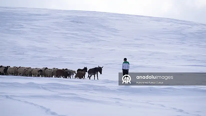 Kış Ağrı'da yaşamı zorlaştırıyor