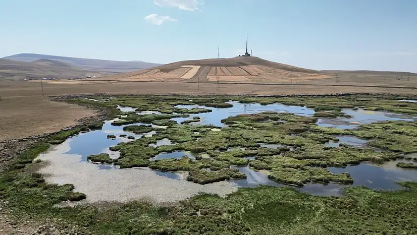 Kuraklık Çalı Gölü'nü kuruttu, kuş göçü ve tarımda felaket yaşanıyor!