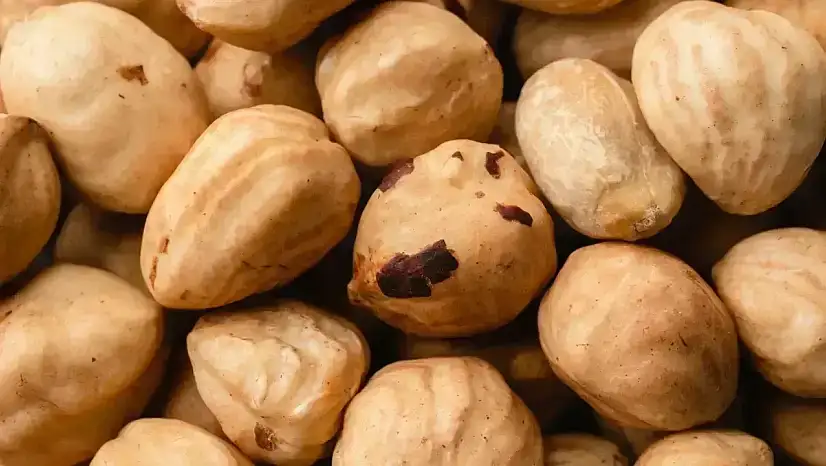 Makademya Fındığı BİM Fiyatı Ne Kadar? (2026)