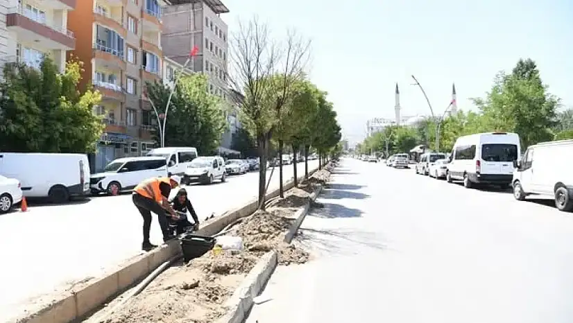 Muş Belediyesi'nden İstasyon Caddesi'nde Yeşillendirme ve Sulama Atağı