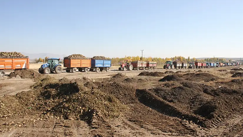 Muş'ta pancar üreticilerine Ağrı'dan destek