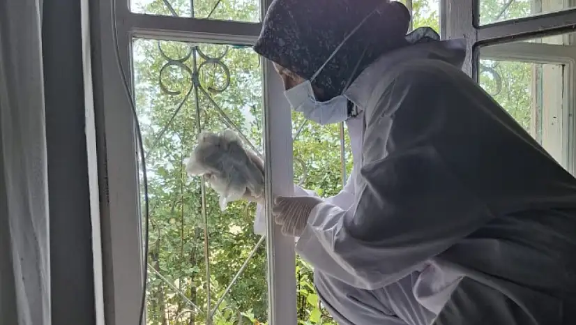 Narman'da Vefa Sosyal Destek Grubu Ev Temizliği Çalışmalarına Devam Ediyor