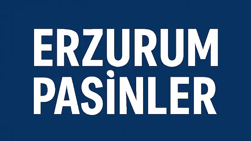 Pasinler Nüfusu – Erzurum Tarihi İlçesinde Demografik ve Mahalle Bazlı Gelişim