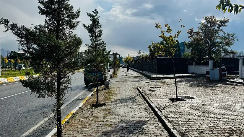 Patnos'ta temizlik mesaisi aralıksız sürüyor