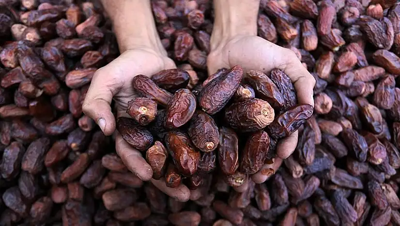 Ramazan öncesi hurma ithalatı dikkat çekti