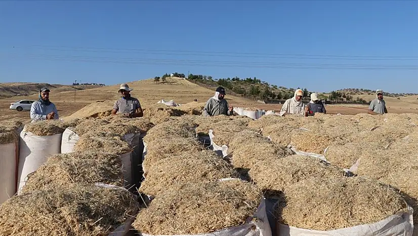 Saman İşçileri, Sıcak Hava ve Tozla Mücadele Ederken Ekmeğin Peşinde!