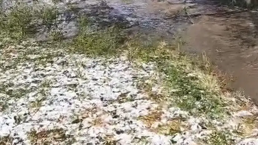 Sarıkamış'ta Gelen Sağanak Yağış Ekili Alanları ve Evleri Su Baskınına Maruz Bıraktı