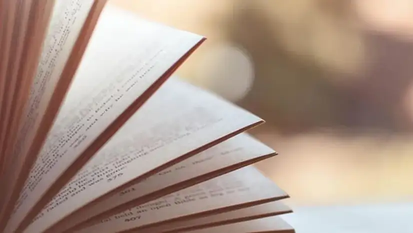 Sessel Yineleme Nedir?