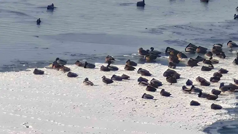 Sibirya soğuğu baraj göletini dondurdu