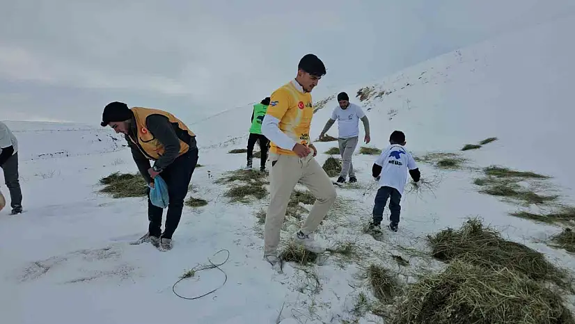 Süphan Dağı eteklerinde yaban hayatı için seferberlik
