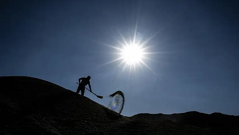 Tarımda gizli tehdit: Sıcaklık arttıkça verim düşüyor