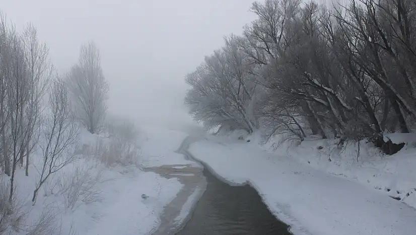 Taşlıçay'da soğuk hava yaşamı zorlaştırdı