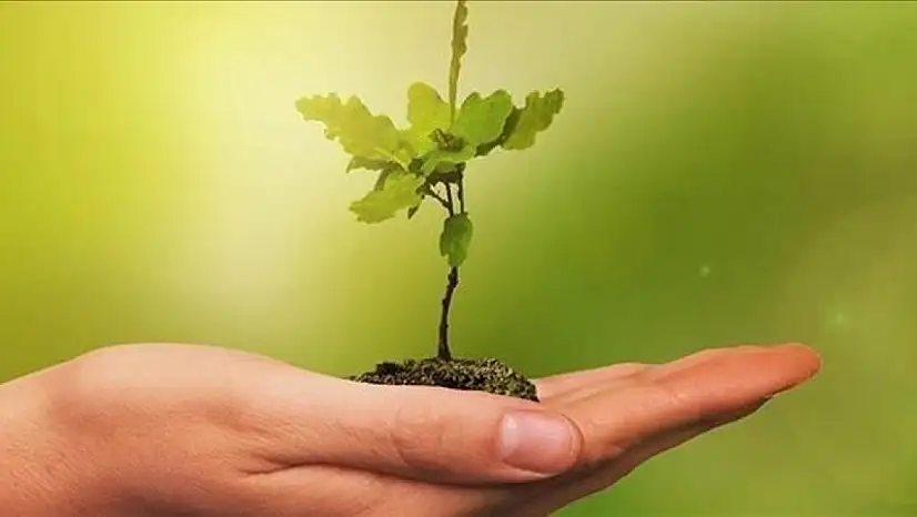 TBMM sıfır atık projesiyle doğaya nefes oldu