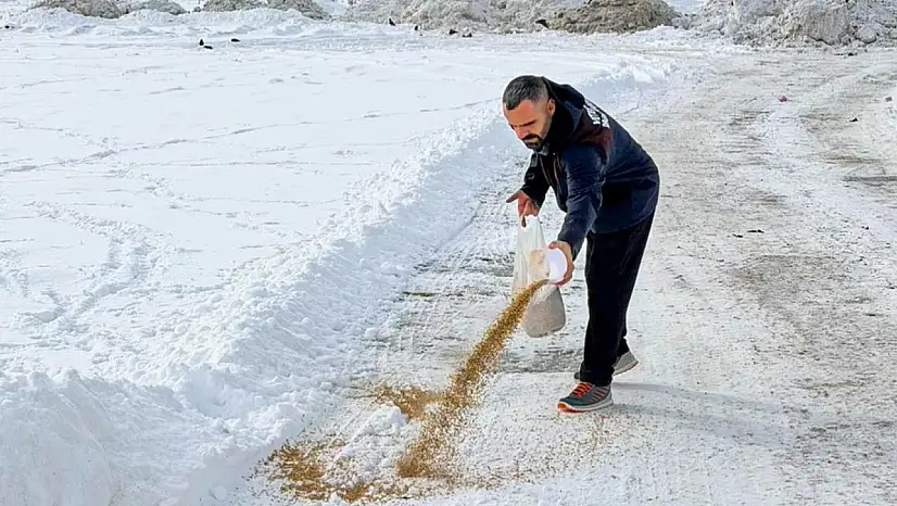 Van Büyükşehir Belediyesi'nden Yaban Hayatına Kış Desteği