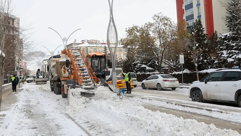 Van'da Karla Mücadele Çalışmaları Büyük Ölçüde Tamamlandı