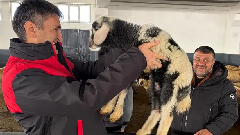 Van'da Kırsal Kalkınmaya Genç Yatırımcı Desteği Sürüyor