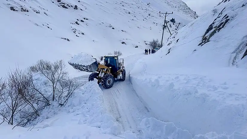 Van'da Zorlu Kış Şartlarına Rağmen Hayat Kurtaran Müdahale