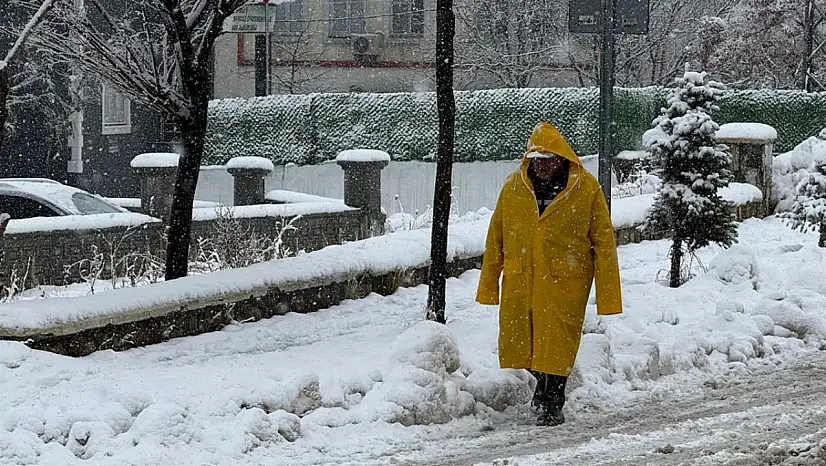 Van ve Bitlis'te kar yağışı etkili oldu