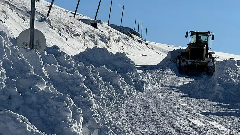 Yoğun kar yağışı Taşlıçay'da çalışmaları durdurmadı