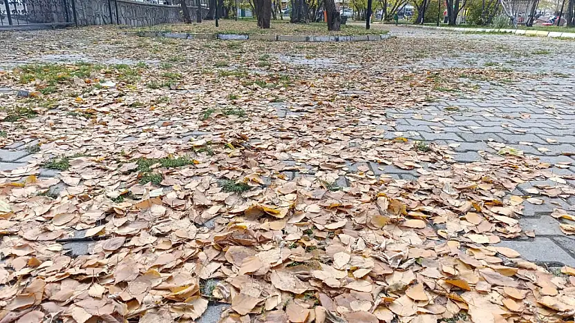 Ağrı 100. Yıl Parkı'nda sonbaharın sessiz yüzü kendini gösterdi
