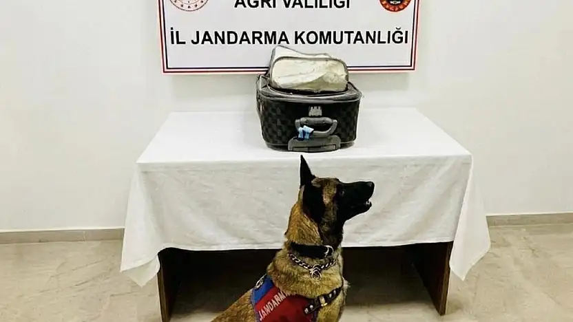 Ağrı'da Azerbaycan uyruklu şahsın valizinden eroin çıktı