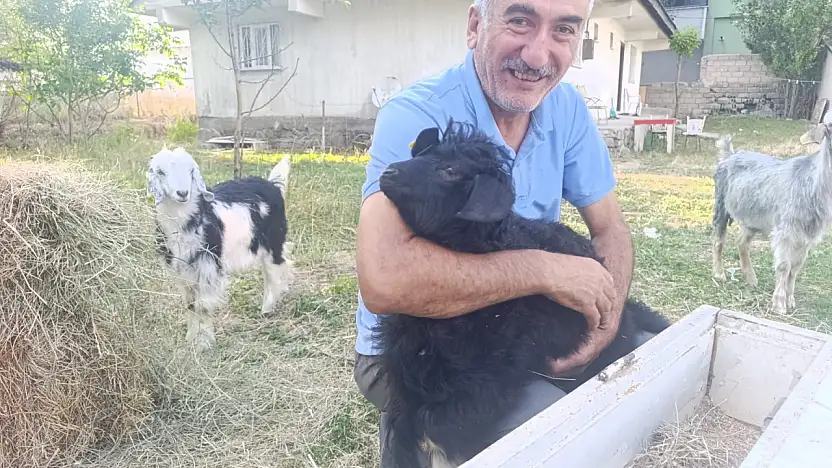 Ağrı'da bahçesini yılanlar basan emekli memur sorunu keçi ve tavuklarla çözdü