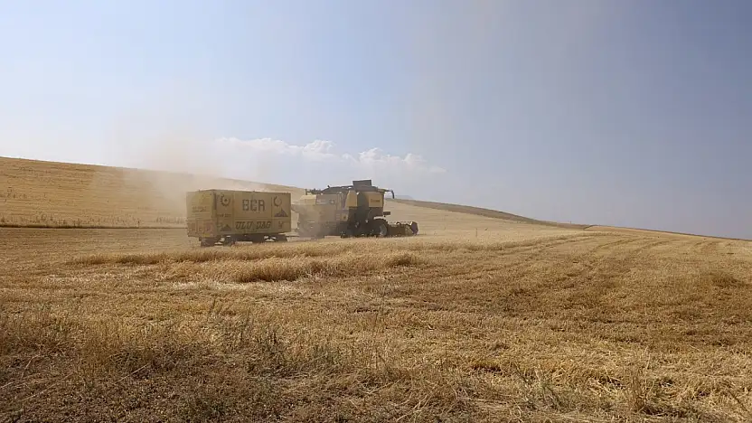 Ağrılı çiftçinin beklediği gün geldi! Çiftçinin bir yıllık emeği tarladan kalkıyor