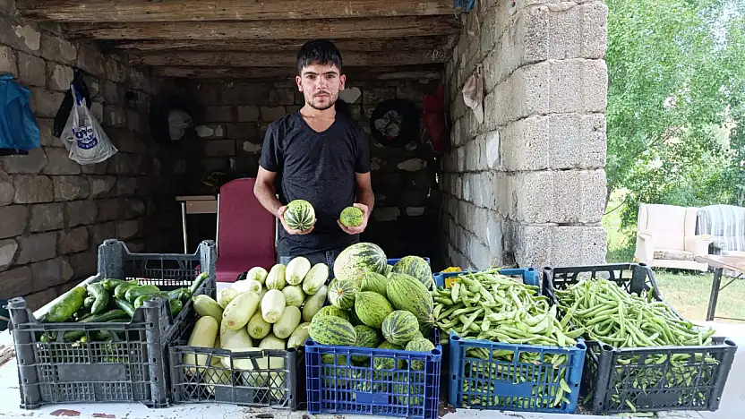 Ağrı'da bostandan gelen doğal ürünler sofraları süslüyor